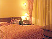 Fotografia 3 di Hotel Tresor Timisoara